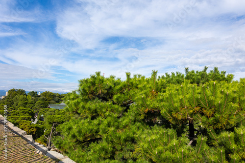 Japanese garden scenery at Nijo Castle Kyoto with manicured greenery, Kyoto, Japan 