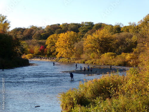 Fall landscape with river and trees