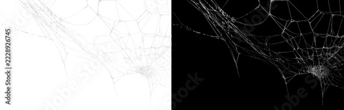 White spider web isolated on transparent background for spooky
