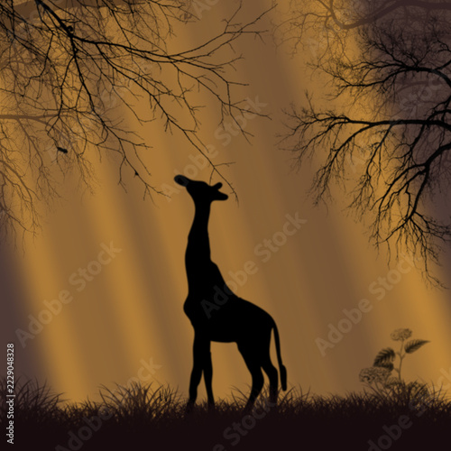 Photography Silhouette of a giraffe standing under bare tree branches with soft sunbeams str