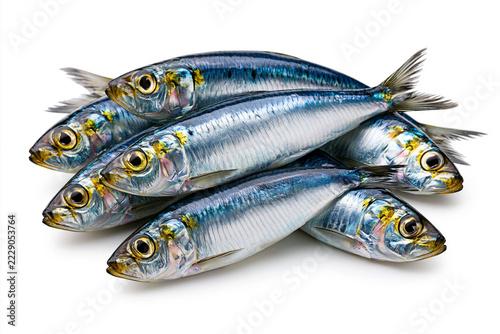 Fresh sardines arranged in a stack for seafood sale