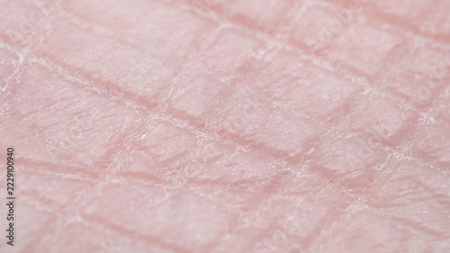 Macro photography of human skin. Close-up view of the skin on the side of the foot.