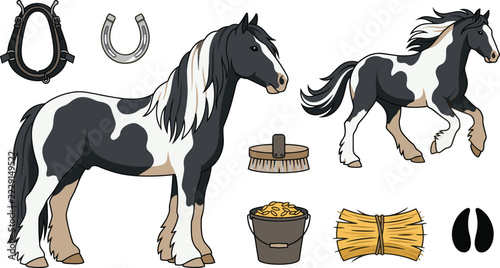 Fotografie Gypsy vanner horse vector elements set featuring piebald stallion mare grooming