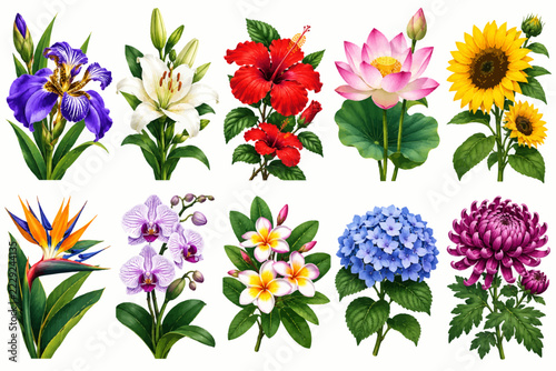 Purple Iris Watercolor Flower Elements Set