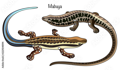 Mabuya