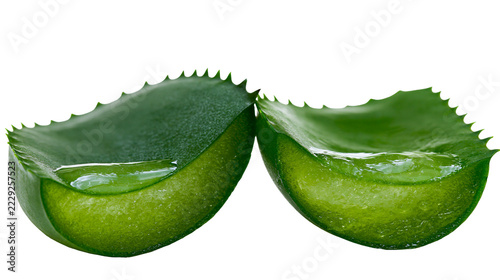 Fresh sliced aloe vera leaves with clear succulent gel