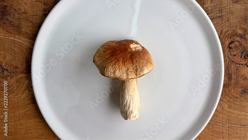 seta hongo boletus uno solitario aislado limpio en un plato blanco sobre una mesa de madera país vasco IMG_9827-as26