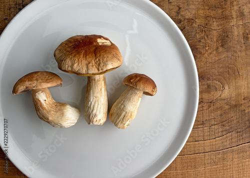 seta hongo boletus tres unidades limpios en un plato blanco con fondo negro país vasco IMG_9862-as26