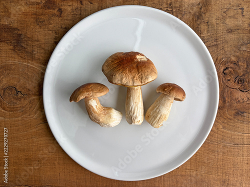 seta hongo boletus tres unidades limpios en un plato blanco sobre una mesa de madera país vasco IMG_9835-as26