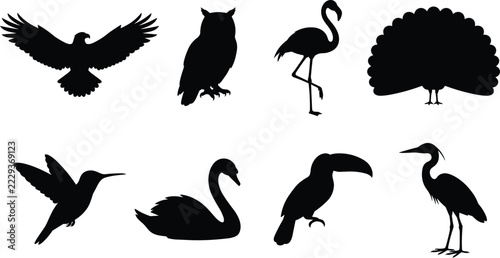 Wild Birds Silhouette Set with Eagle, Owl, Flamingo, Peacock, Hummingbird, Swan, Toucan and Heron