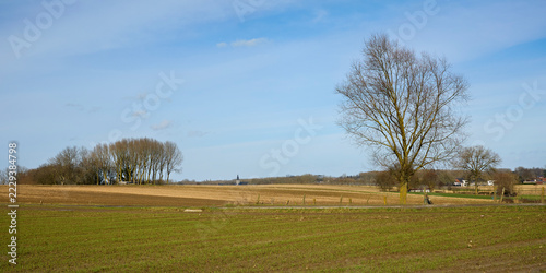 Peaceful rural landscape with open green and plowed fields, bare deciduous trees, and a distant church tower under a clear blue sky in early spring.