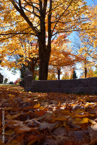At the cemetery in autumn, Montmagny, Québec, Canada