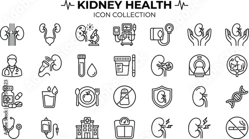 Kidney health and nephrology icon set, medical diagnostic and treatment symbols for urology and renal care, vector line icons