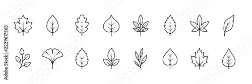 A collection of autumn leaf icons. Featuring simple, thin-line designs, including classic maple leaves, twigs, and various types of autumn foliage all in black. Vector illustration.