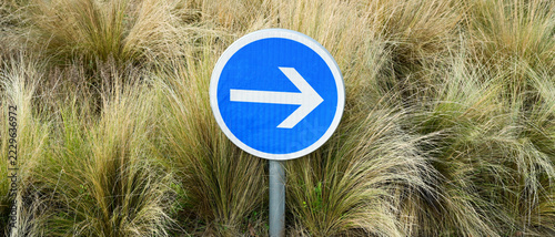 Panneau routier rond avec une flèche blanche sur fond bleu, indiquant la direction à prendre à droite, centré devant un parterre de graminées, format bannière