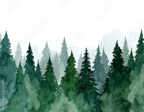 Watercolor painting of evergreen trees and misty landscape