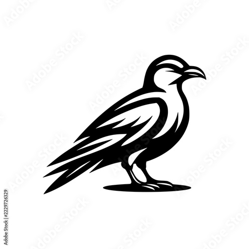 Raven Silhouette: A stylized black raven perched regally, its sharp gaze and detailed feathering captured in a striking monochrome graphic.