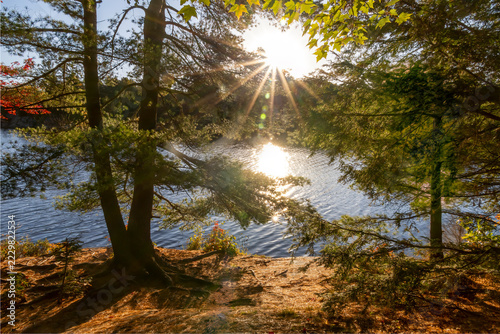 Sunlight beams through trees by Kakakise Lake in Killarney Provincial Park, Ontario, creating a serene morning scene on The Crack Trail.