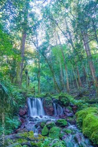 環境保護とサステナビリティを象徴する癒やしの森と清らかな滝の風景