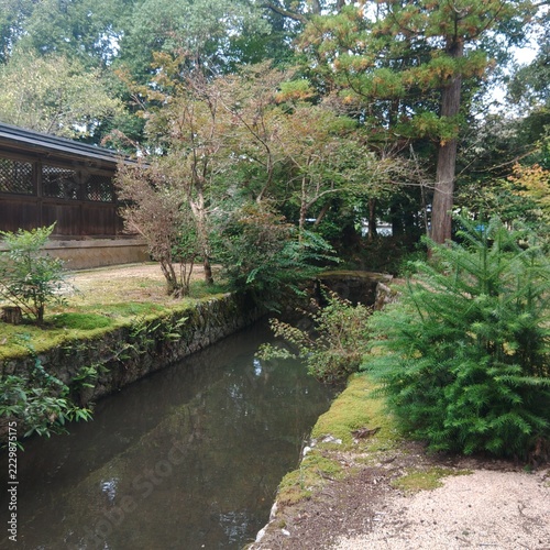 The  Japanese shrine mote 