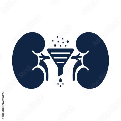 Kidneys with central funnel icon representing human organ filtration and medical health care