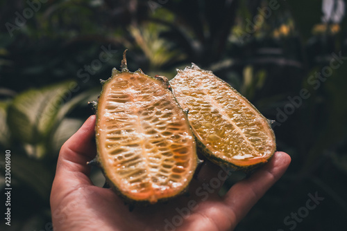 Kiwano horned melon halves resting in a hand, revealing glossy orange flesh and rows of edible seeds against a softly blurred tropical garden background amid lush foliage
