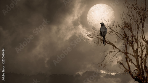 A dark, atmospheric scene of a lone black crow perched on a bare tree branch against a large, glowing full moon in a cloudy, sepia-toned night sky. Spooky Halloween horror background