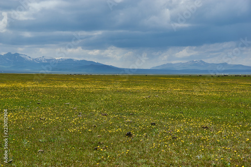 son kul mountain lake in kyrgyzstan