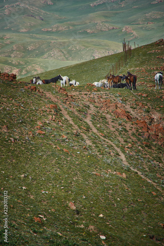 Teshik tract, Kyrgyzstan,