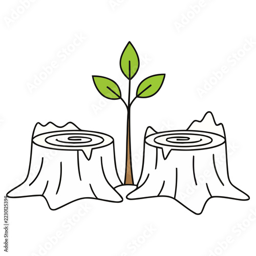 Tree stump and sapling