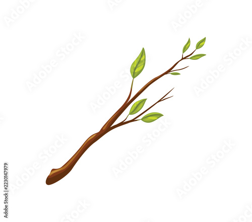 Tree branch with leaves or plant twig with green leaf of spring for cartoon icon of lumber or timber wood. Tree branch stick with leaf buds of summer foliage in wood forest or woodland garden