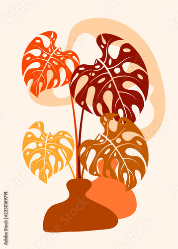 Boho Leaf Monstera and Floral Branch in Vase