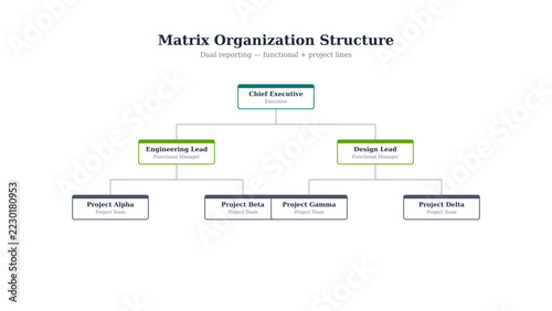 Matrix Organization Chart Dual Reporting Structure Vector Template