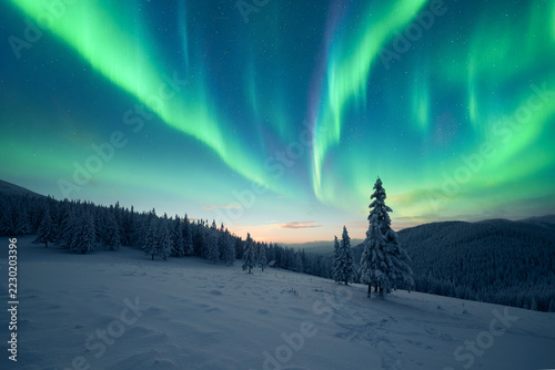 Flowing green Aurora Borealis over winter mountains with snowy fir-trees. Northern lights in starry sky. Christmas landscape with Polar lights