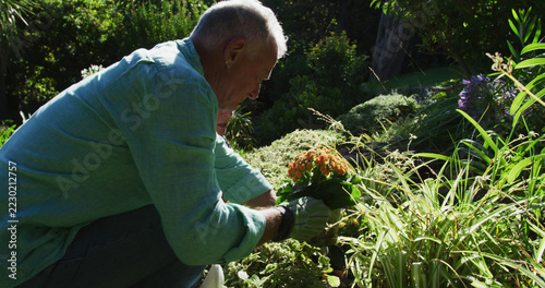 Caucasian senior couple planting in their garden and talking in the sun