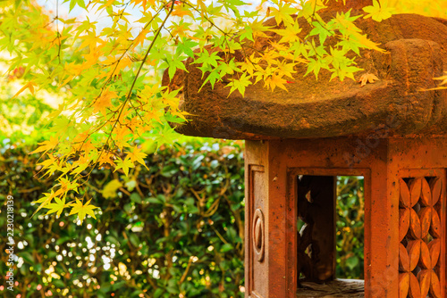 秋の宝徳寺　床もみじと紅葉(群馬県桐生市)