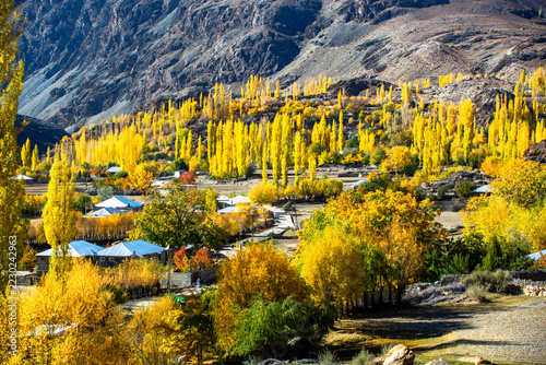 A breathtaking autumn panorama of golden foliage stretching across the majestic peaks and valleys of the Hindu Kush range