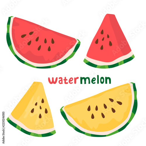 Flat design of various watermelon slices. Vector illustration.
