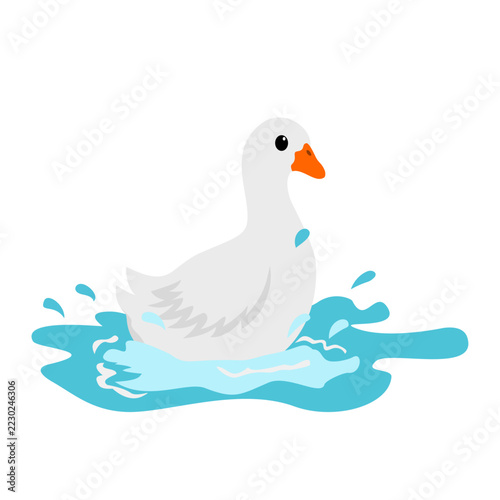Flat illustration of a swan swimming in water. Vector illustration.