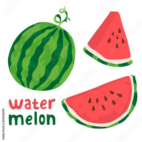 Flat design of various watermelon slices. Vector illustration.