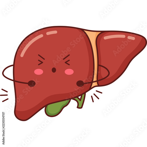 Human Liver Cartoon
