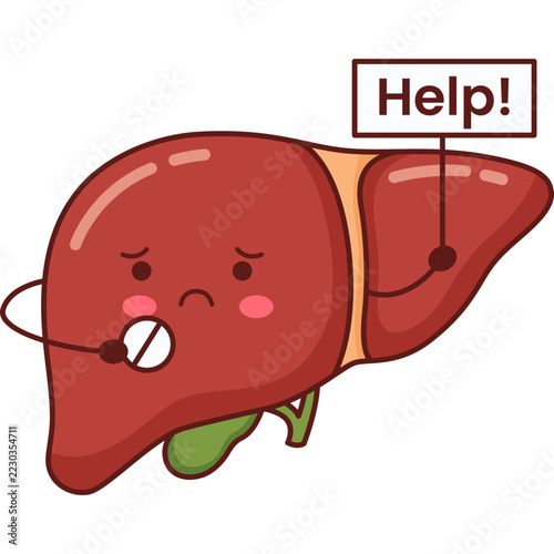 Human Liver Cartoon