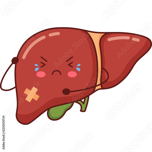 Human Liver Cartoon
