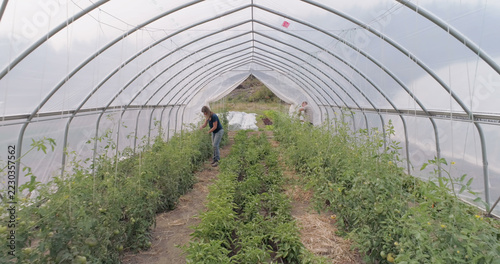 Two farmers working in field at greenhouse 4k
