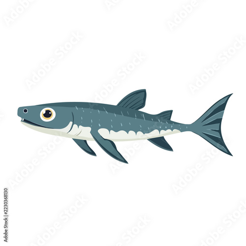 Minimal vector illustration of Sturgeon, flat modern graphic design, isolated on a white background.