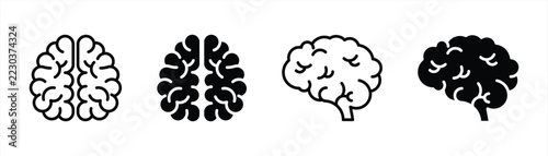 Human Brain Icon Set, Detailed Brain Anatomy Illustrations in Black Outline and Solid Silhouette Styles