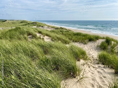 Coastal sand dunes with green grass and ocean waves gently rolling in.