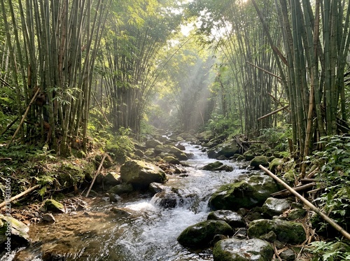 Bamboo forest path with stream and sunbeams filtering through canopy.