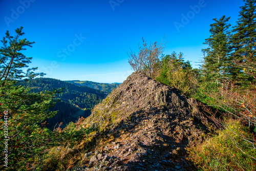 Obraz na plátně Karlsruher Grat bei Ottenhöfen im Schwarzwald