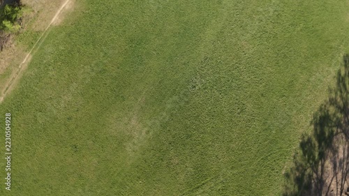 drone performs a dynamic ascent and descent movement over a vast green grass meadow. The daylight illuminates the wide open field and landscape from an high angle view
